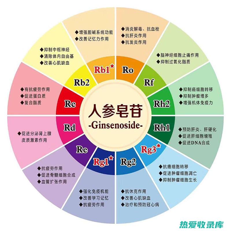 人参须根的与作用