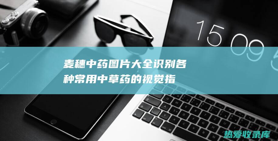 麦穗中药图片大全：识别各种常用中草药的视觉指南 (麦穗中药图片大全)