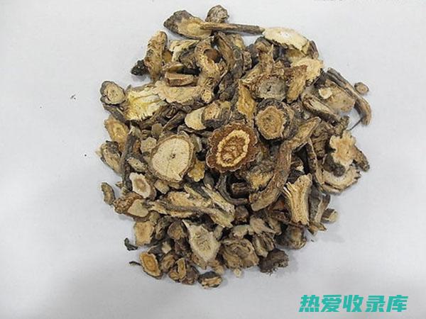 前胡根功效 (前胡根功效与作用)