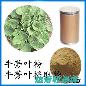 野牛膏的功效与作用及食用方法