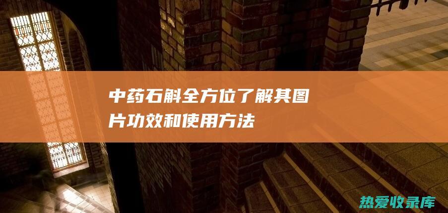 中药石斛：全方位了解其图片、功效和使用方法 (石斛全草)