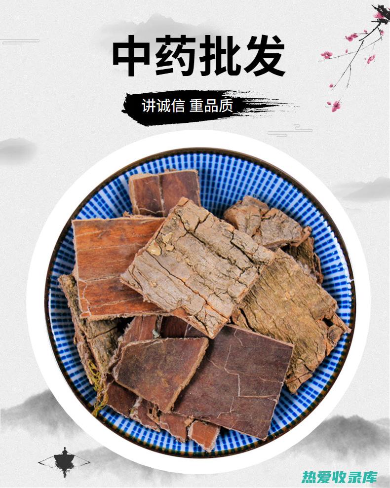 杜仲的非凡益处：功效、作用和食用指南 (益杜仲的功效)