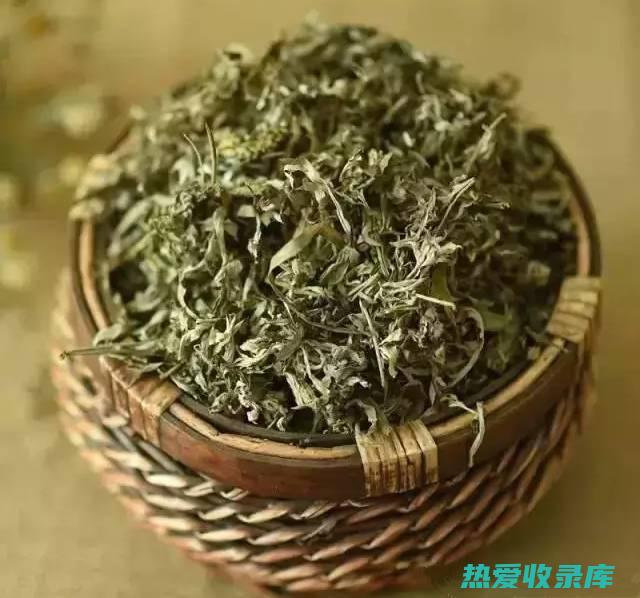 水桐叶的功效与作用及禁忌