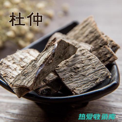 核桃杜仲泡酒的功效 (杜仲泡酒好)