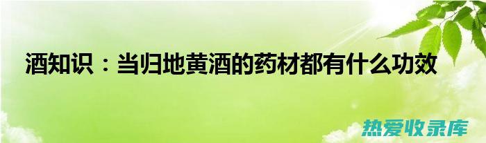 黄酒与中药：古老疗法中的悠久结合 (黄酒与中药合起来可以吗)