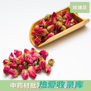 药材玫瑰