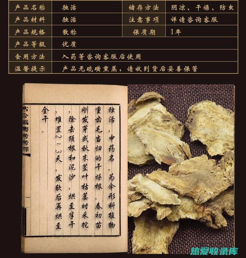 独活：一味取自中药材 (一味独活是什么中药)