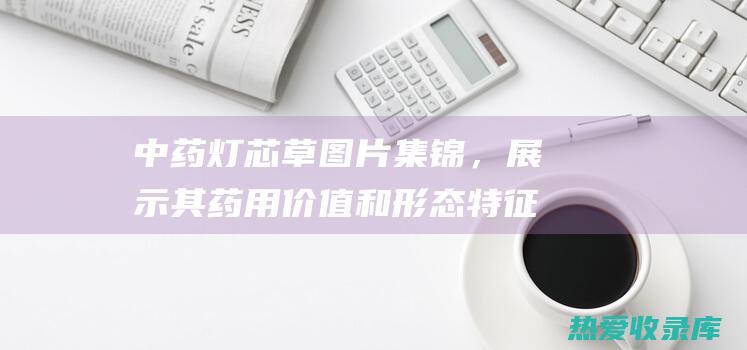 中药灯芯草图片集锦，展示其药用价值和形态特征 (中药灯芯草图片主治功效与作用)