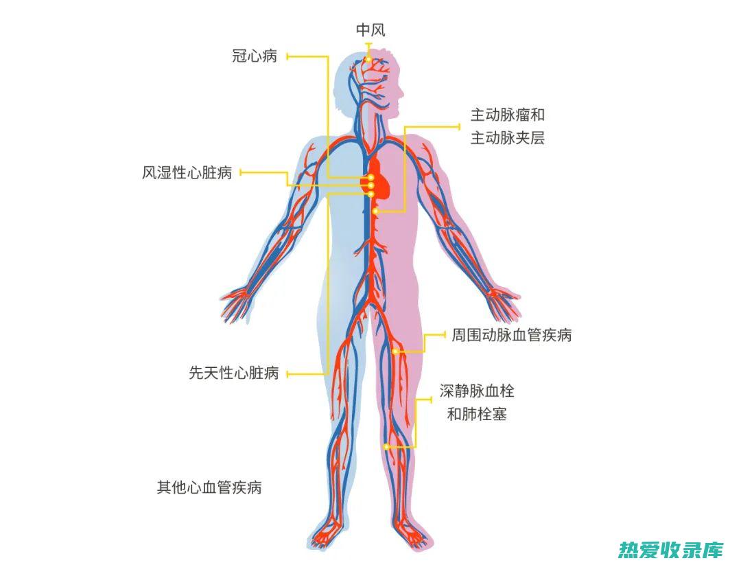 鱼鳞可用于治疗高血压