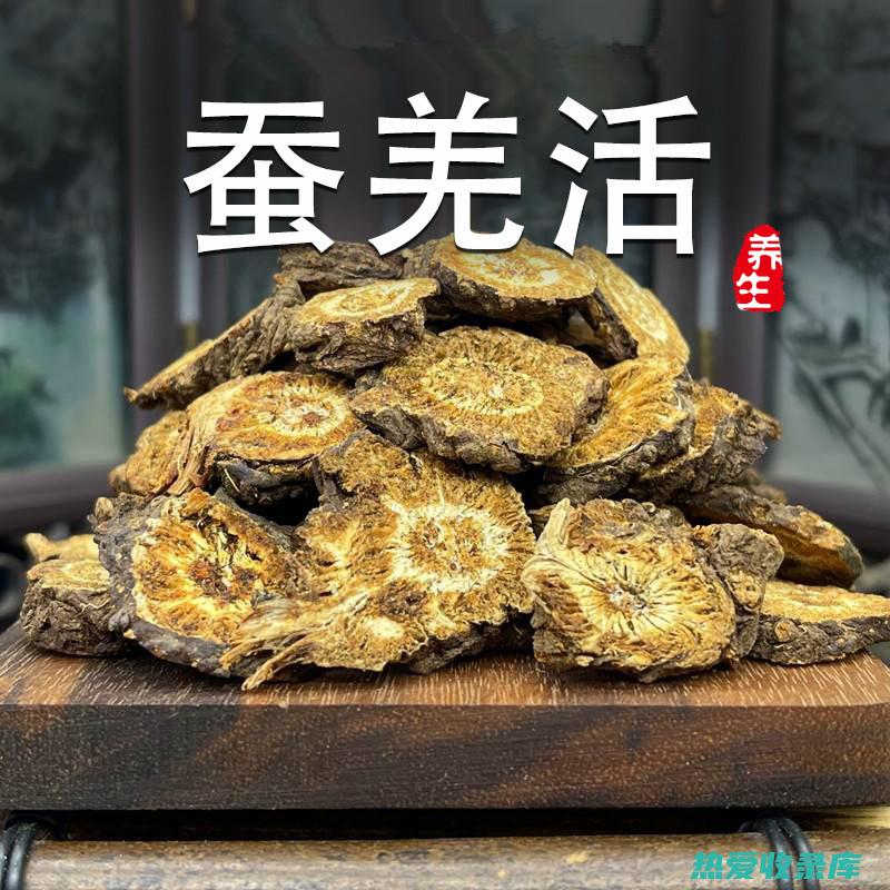 中药姜活的功效与作用 (中药姜活的功效与主治)