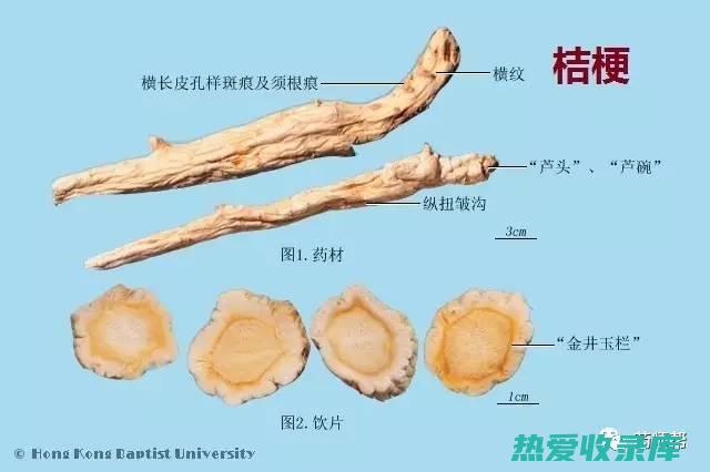 中药材的三类