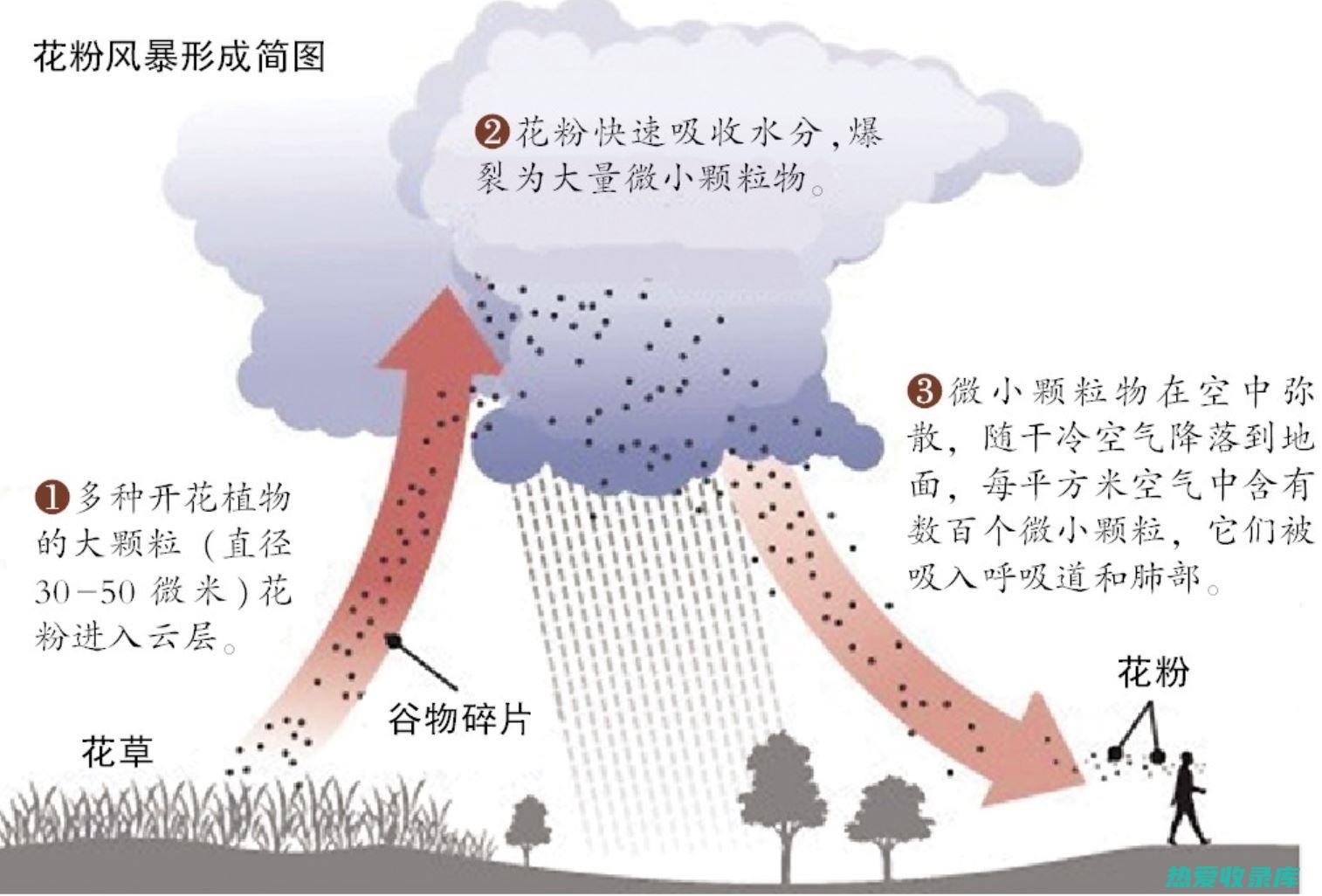 花粉 - 传统中药的天然奇观 (花粉是啥)