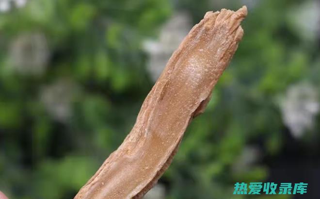 中药百部：用途、功效和注意事项 (中药百部用量多少克为宜)