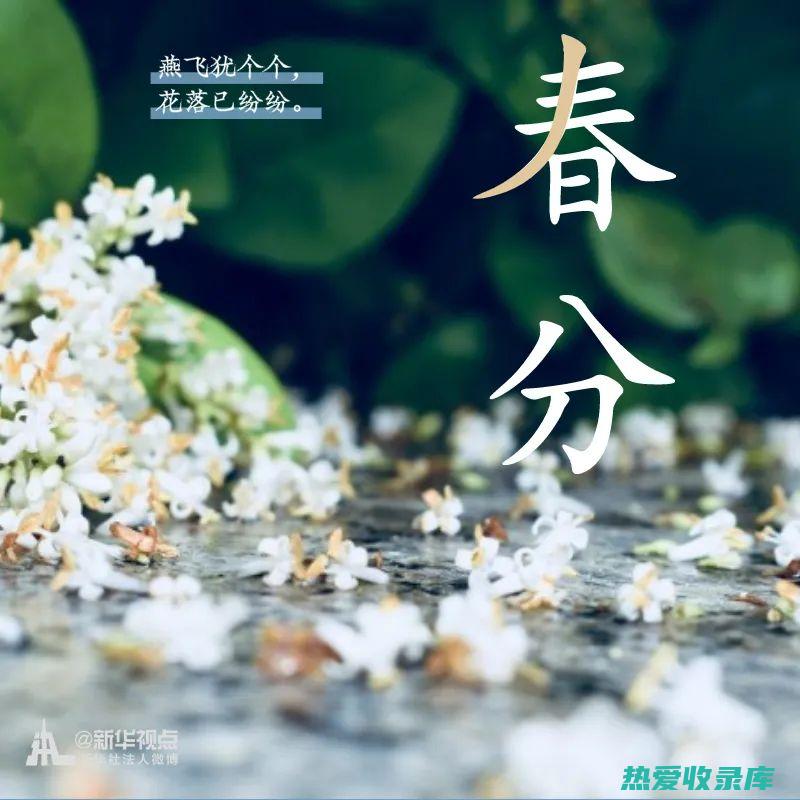 蕴含春意：中医药中以春字命名的中药材 (蕴含春意的诗句)