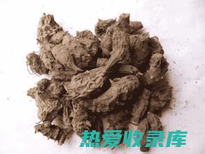 草乌的功效作用 (草乌的功效作用与主治与用量)