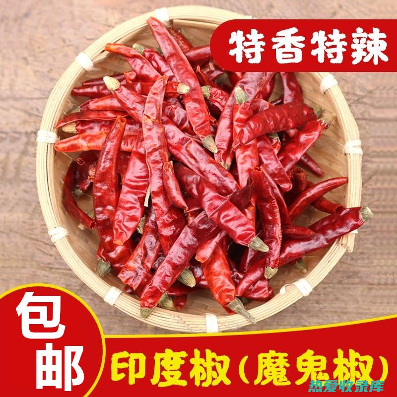 辣椒味怎么吃