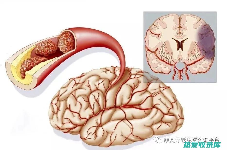 中药治疗指南