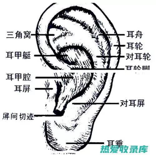 熄肝火的良方：中药宝典 (熄肝火的良方药有哪些)