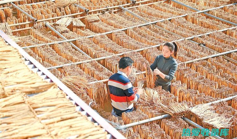 甘肃药材批发市场：中草药和天然产品的贸易中心 (甘肃药材批发市场)