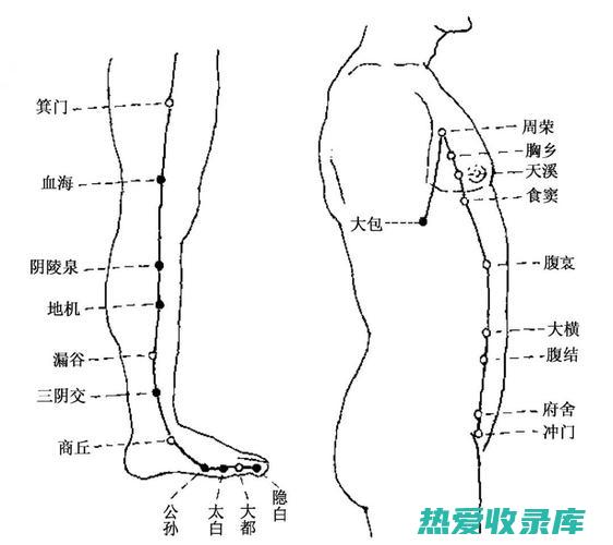 归脾经中药