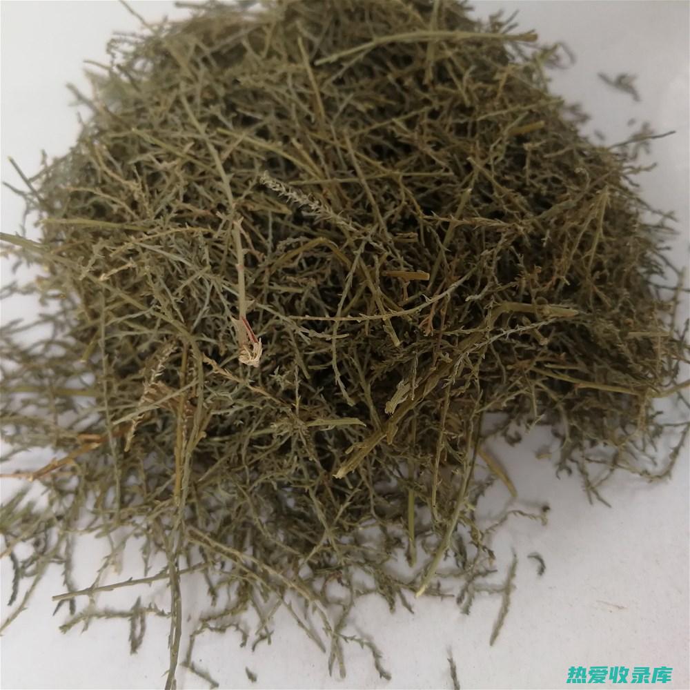 西河柳的止咳功效 (西河柳的药用价值)