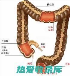 愈合肠炎的中剂