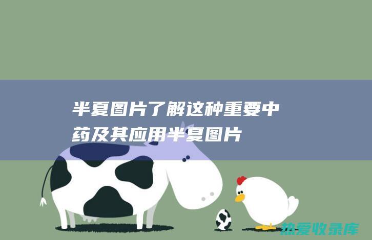 半夏图片：了解这种重要中药及其应用 (半夏图片中药图片)