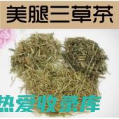 中药荷叶功效