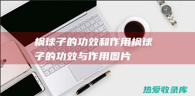 枫球子的功效和作用枫球子的功效与作用图片