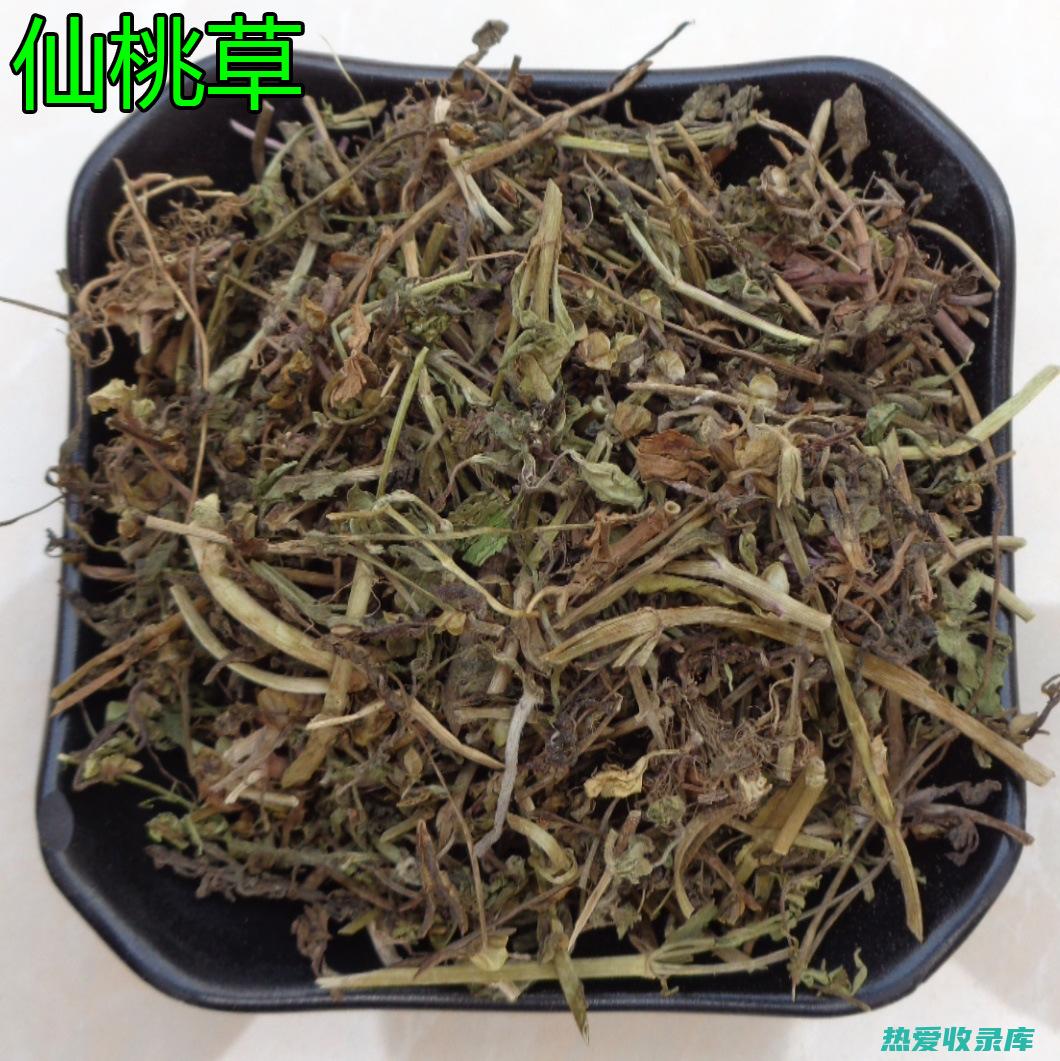 仙桃草中药功效 (仙桃草中药功效和作用)