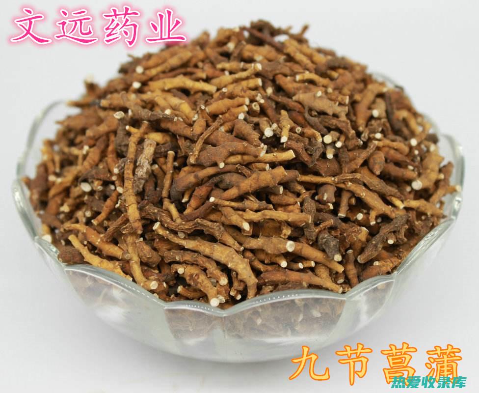 节菖蒲的功效 (节菖蒲的功效与作用是什么)