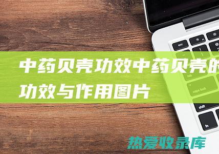 中药贝壳功效 (中药贝壳的功效与作用图片)