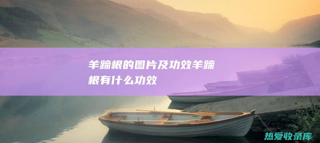 羊蹄根的图片及功效羊蹄根有什么功效