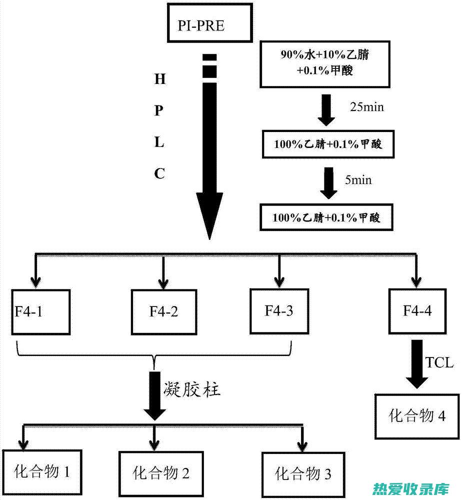 桑臣的作用与功效