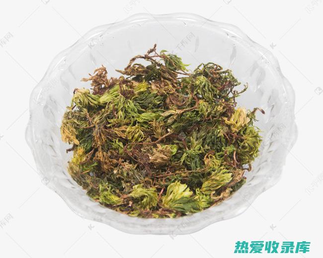 草药回心草功效