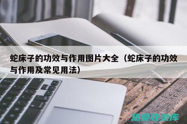 蛇床子的功效与价格 (蛇床子的功效作用与主治)