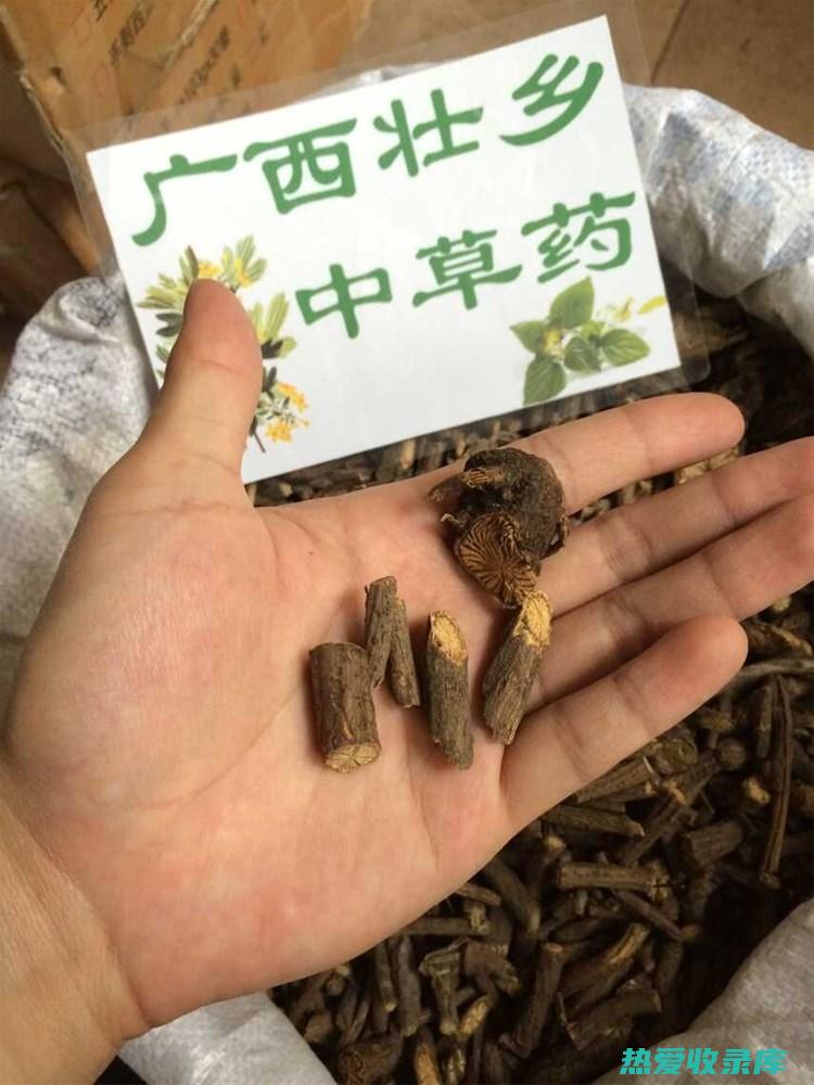 金锁匙草药功效 (金锁匙草药功效与禁忌)