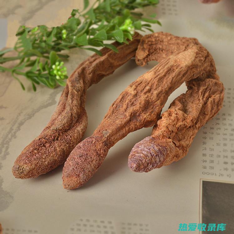 锁阳的功效与作用 (锁阳的功效与配方)