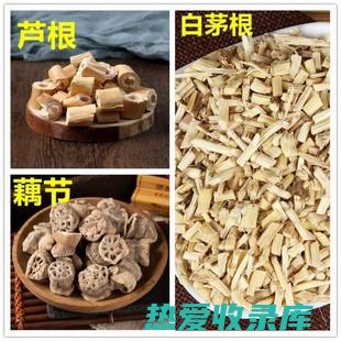 干茅根的功效与作用禁忌