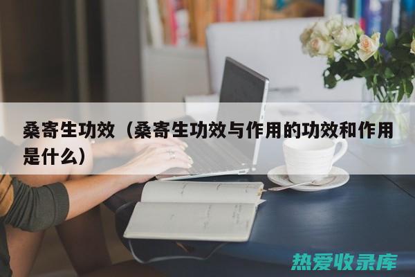 桑寄生的与作用主要治什么病