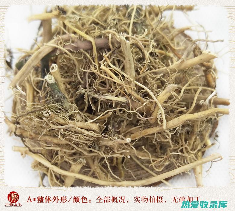 白榄根的药用价值