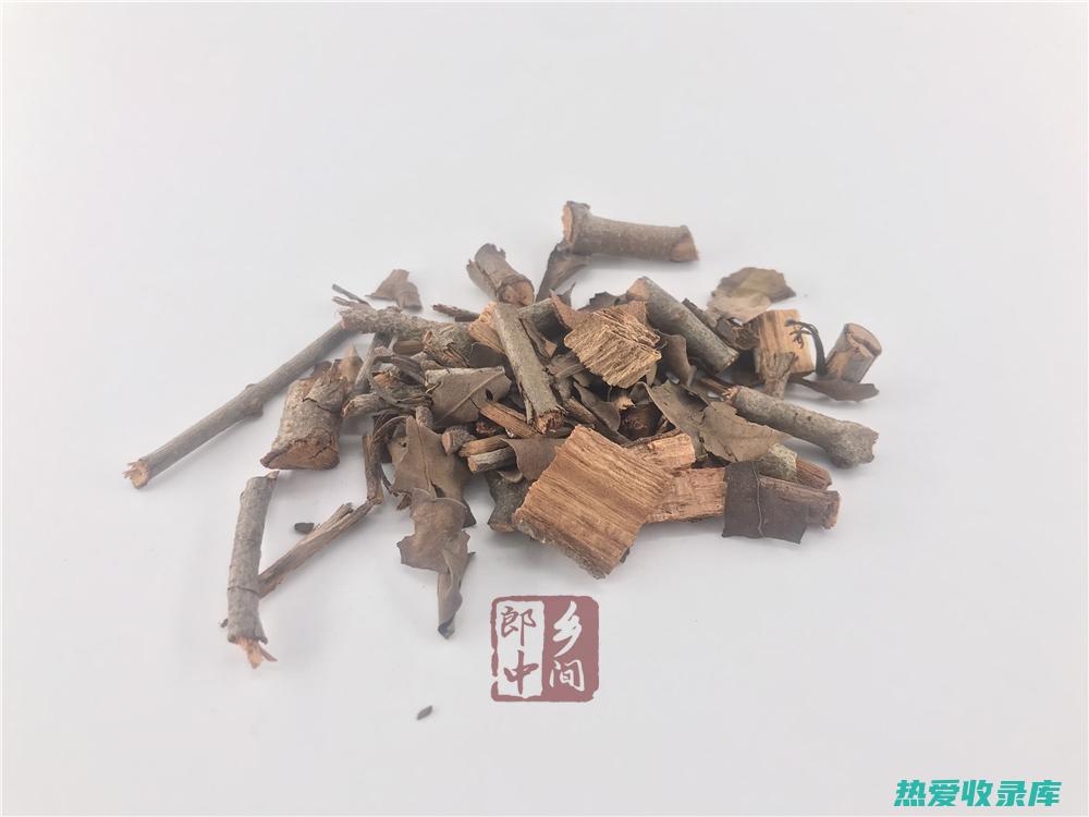 桑寄生的功效和禁忌 (桑寄生的功效与作用是什么)