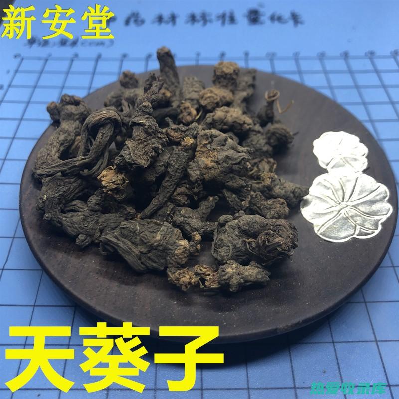 天癸子的功效 (天癸子的功效与作用)