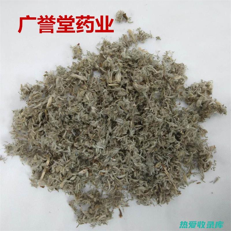 绵因陈功效与作用 (绵茵陈功效)