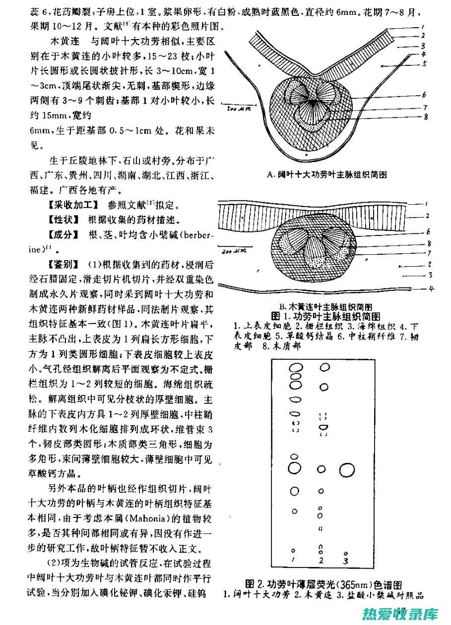 功效