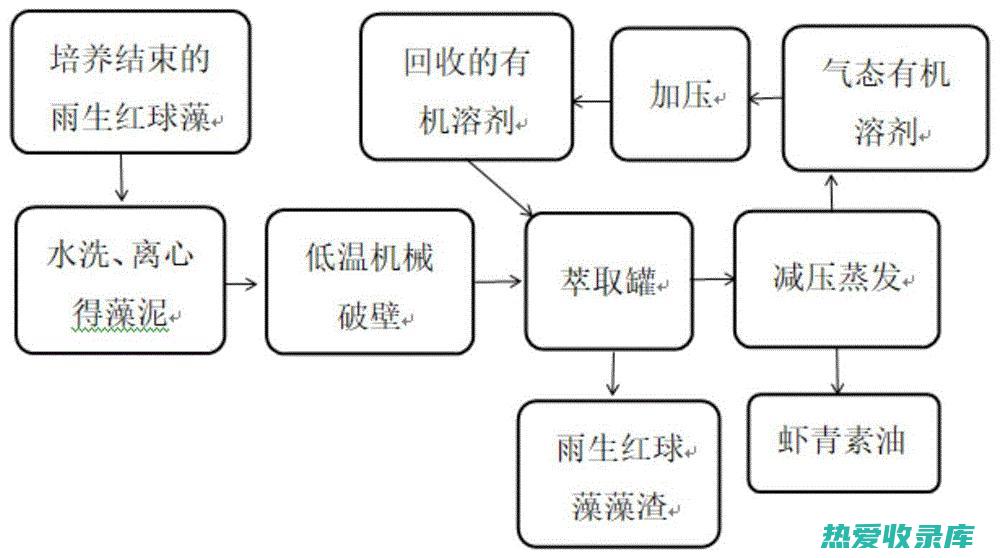 小叶海藻提取物