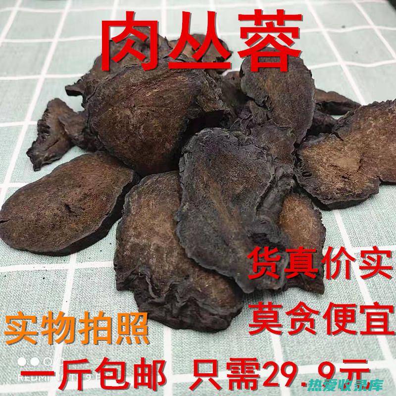 中药肉蓉的功效与作用 (中药肉蓉的功效和作用)