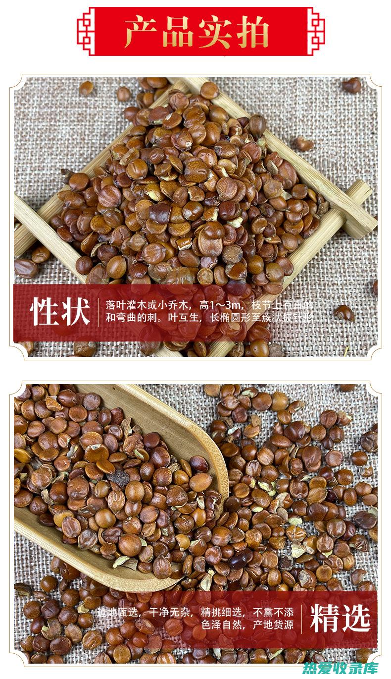 炒枣仁性味归经功效 (炒枣仁性味归经功效作用)