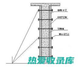 六楞木功效 (山西六棱木)