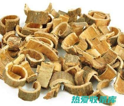 合欢籽功效与作用